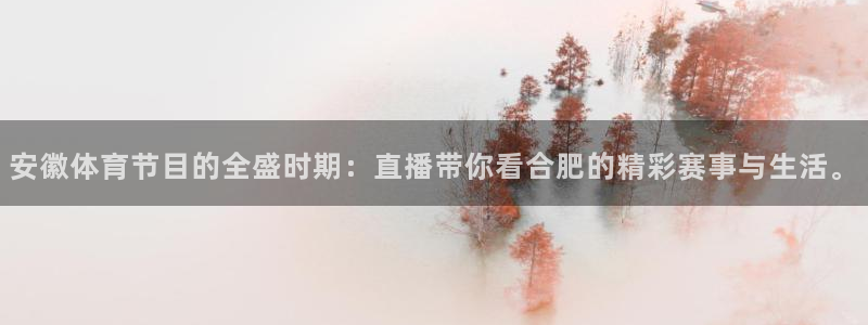 安徽体育节目的全盛时期：直播带你看合肥的精彩赛事与生活。