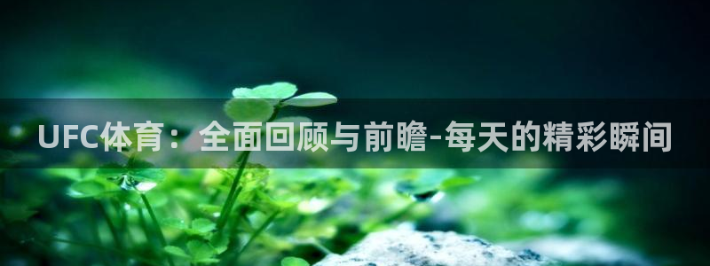 UFC体育：全面回顾与前瞻-每天的精彩瞬间