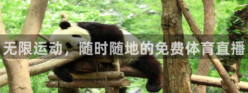 无限运动，随时随地的免费体育直播