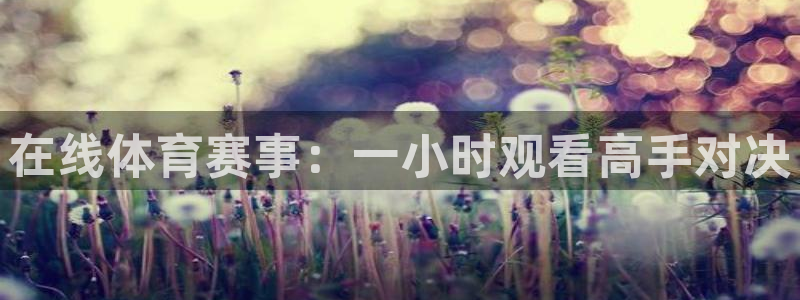 在线体育赛事：一小时观看高手对决