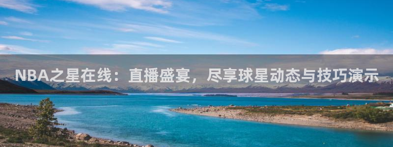 NBA之星在线：直播盛宴，尽享球星动态与技巧演示