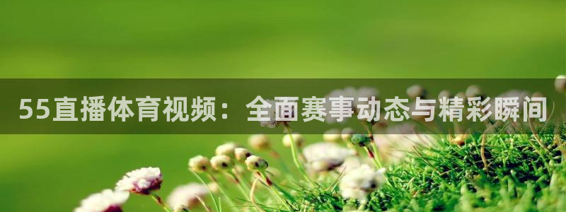 55直播体育视频：全面赛事动态与精彩瞬间