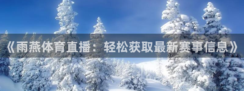 《雨燕体育直播：轻松获取最新赛事信息》