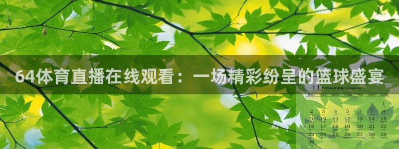 64体育直播在线观看：一场精彩纷呈的篮球盛宴