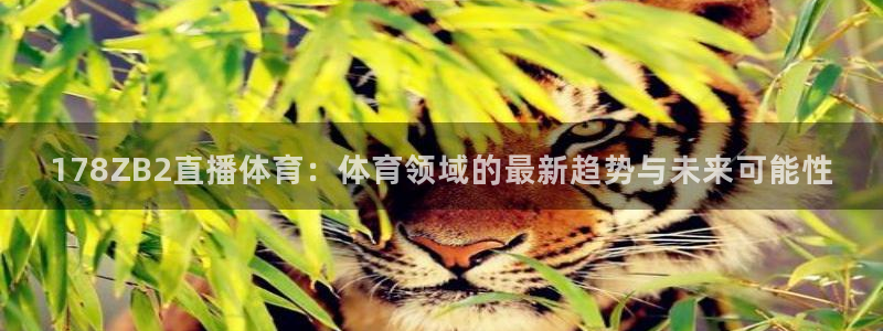 178ZB2直播体育：体育领域的最新趋势与未来可能性