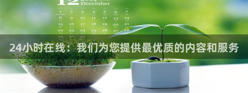 24小时在线：我们为您提供最优质的内容和服务