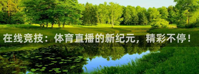 在线竞技：体育直播的新纪元，精彩不停！