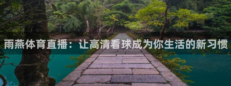 雨燕体育直播：让高清看球成为你生活的新习惯