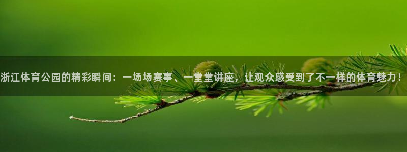 浙江体育公园的精彩瞬间：一场场赛事、一堂堂讲座，让观众感受到了不一样的体育魅力！