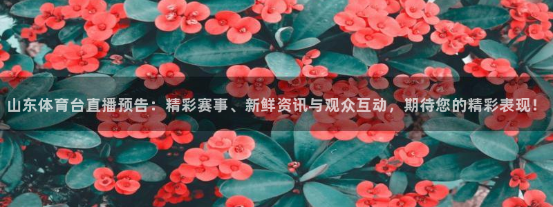 山东体育台直播预告：精彩赛事、新鲜资讯与观众互动，期待您的精彩表现！