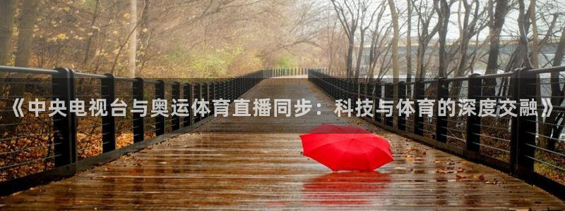 《中央电视台与奥运体育直播同步：科技与体育的深度交融》