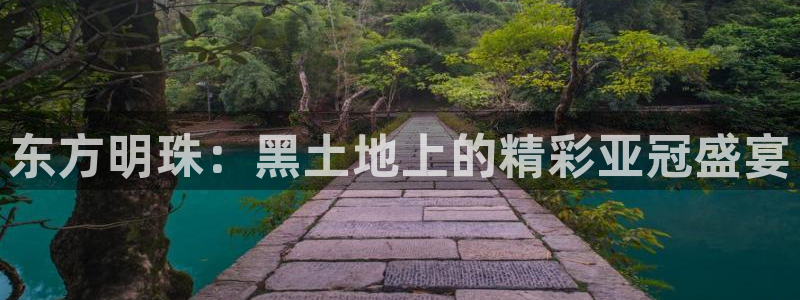 东方明珠：黑土地上的精彩亚冠盛宴