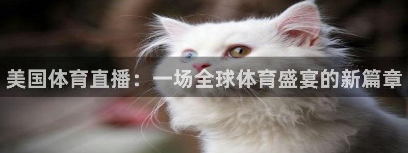 美国体育直播：一场全球体育盛宴的新篇章