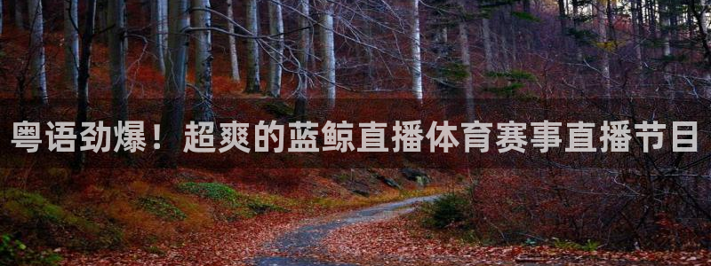 粤语劲爆！超爽的蓝鲸直播体育赛事直播节目