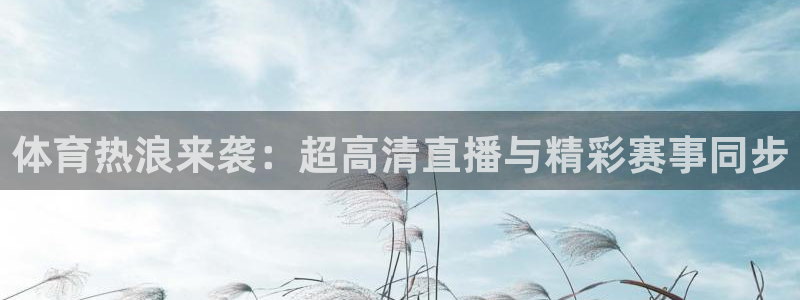 体育热浪来袭：超高清直播与精彩赛事同步