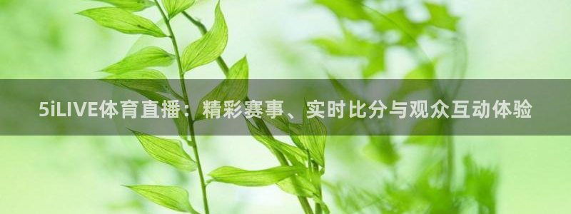 5iLIVE体育直播：精彩赛事、实时比分与观众互动体验
