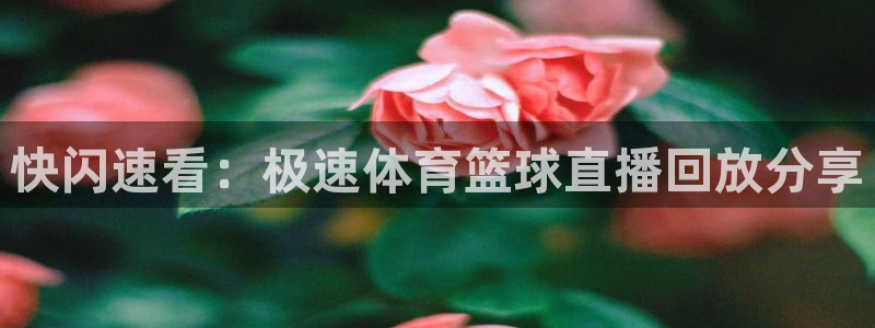 快闪速看：极速体育篮球直播回放分享