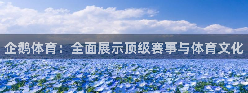 企鹅体育：全面展示顶级赛事与体育文化