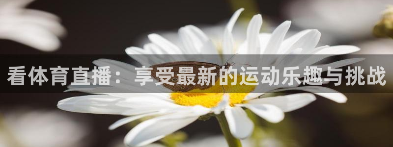 看体育直播：享受最新的运动乐趣与挑战
