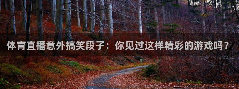 体育直播意外搞笑段子：你见过这样精彩的游戏吗？