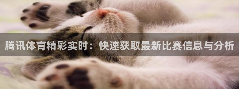 腾讯体育精彩实时：快速获取最新比赛信息与分析