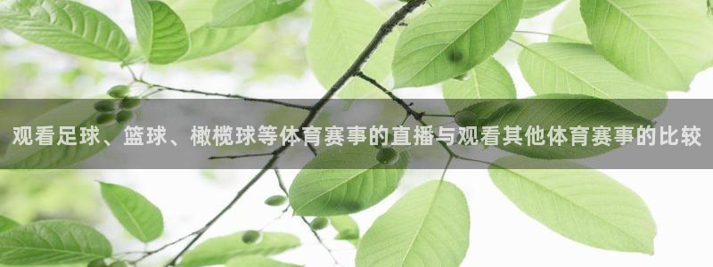 观看足球、篮球、橄榄球等体育赛事的直播与观看其他体育赛事的比较