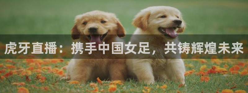虎牙直播：携手中国女足，共铸辉煌未来