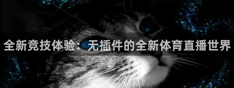 全新竞技体验：无插件的全新体育直播世界