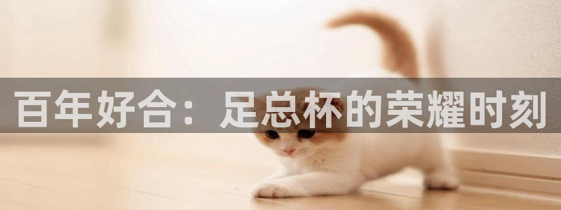 百年好合：足总杯的荣耀时刻