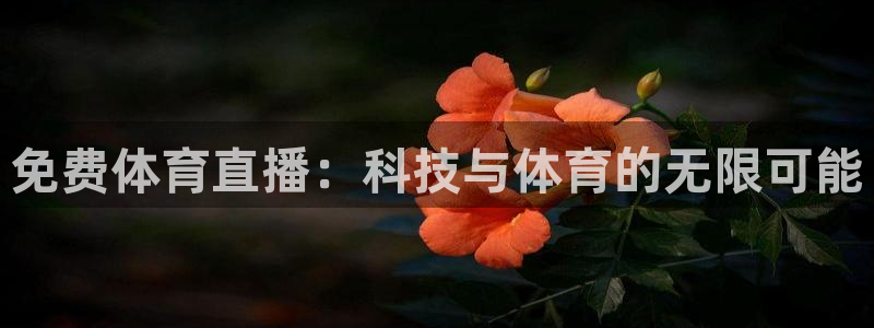 免费体育直播：科技与体育的无限可能