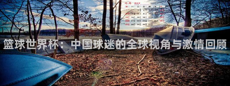 篮球世界杯：中国球迷的全球视角与激情回顾