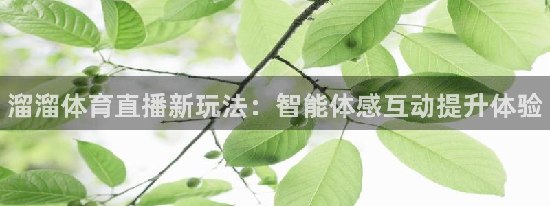 溜溜体育直播新玩法：智能体感互动提升体验
