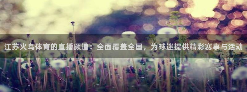 江苏火鸟体育的直播频道：全面覆盖全国，为球迷提供精彩赛事与活动