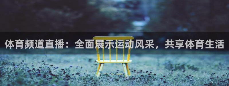 体育频道直播：全面展示运动风采，共享体育生活