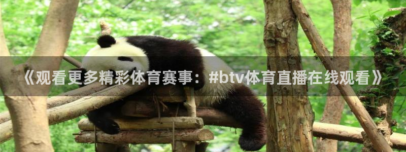《观看更多精彩体育赛事：#btv体育直播在线观看》